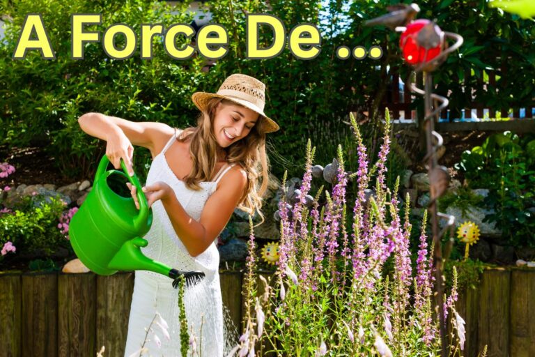 French Expression: “A Force De…” (with audio and examples)