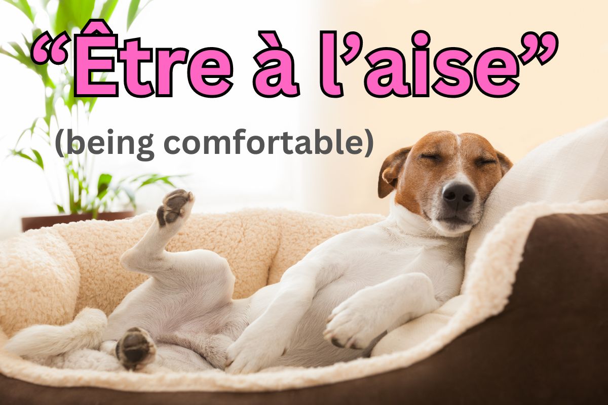 French phrase “Être à l’aise”