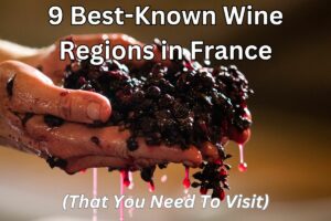 9 wine regions in France